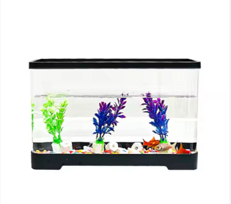 Aquarium Tank