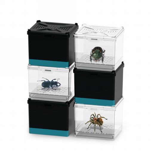 Insect Breeding Box (Small)