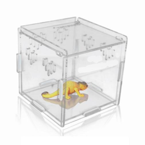 Reptile Acrylic Box