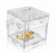Reptile Acrylic Box