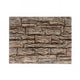 Reptile Background Board