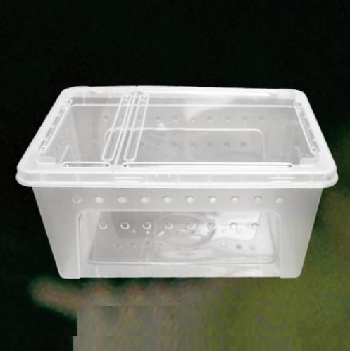 Reptile Big Feeding Box