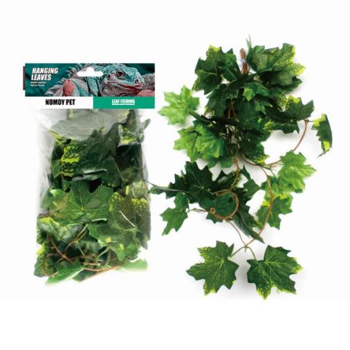 Reptile Green Maple
