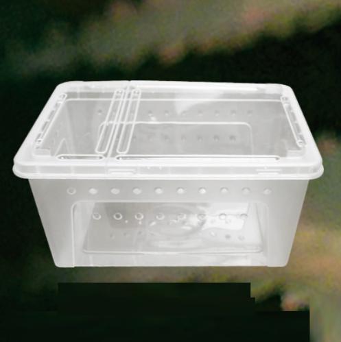 Reptile Middle Feeding Box