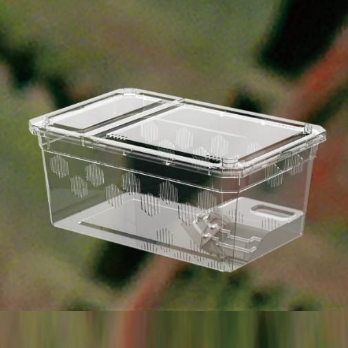 Reptile New Feeding Box (II)
