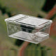 Reptile New Feeding Box (II)