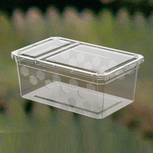 Reptile New Feeding Box