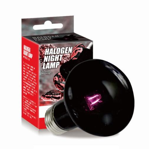 Reptile Night Heat Lamp