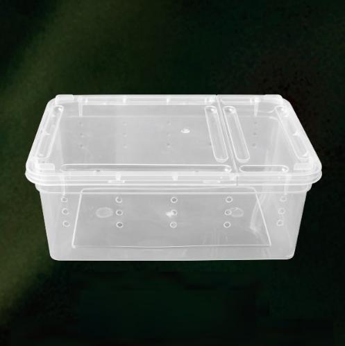 Reptile Small Feeding Box