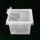 Reptile Square Box