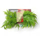 Reptile Terrarium Foliage (III)