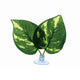 Reptile Terrarium Leaf (III)