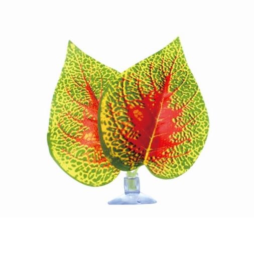 Reptile Terrarium Leaf
