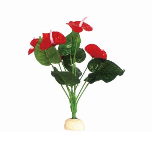Reptile Terrarium Plant (II)