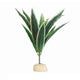 Reptile Terrarium Plant (III)