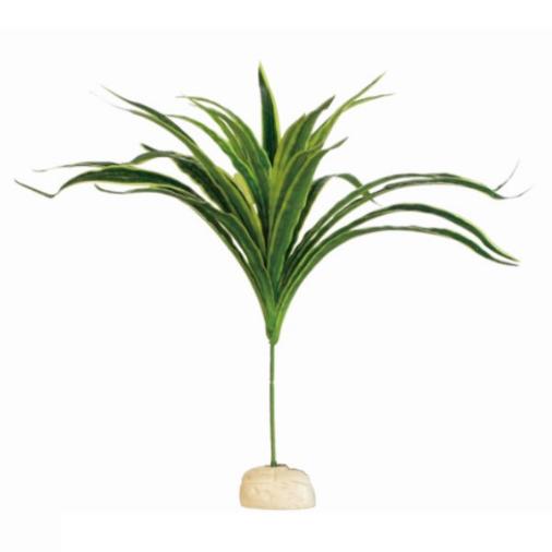 Reptile Terrarium Plant (IV)
