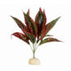 Reptile Terrarium Plant (V)