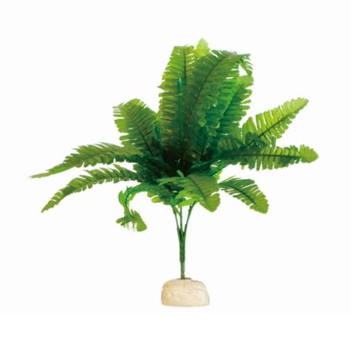 Reptile Terrarium Plant