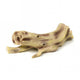 Reptile Tree Resin Ornament (IV)