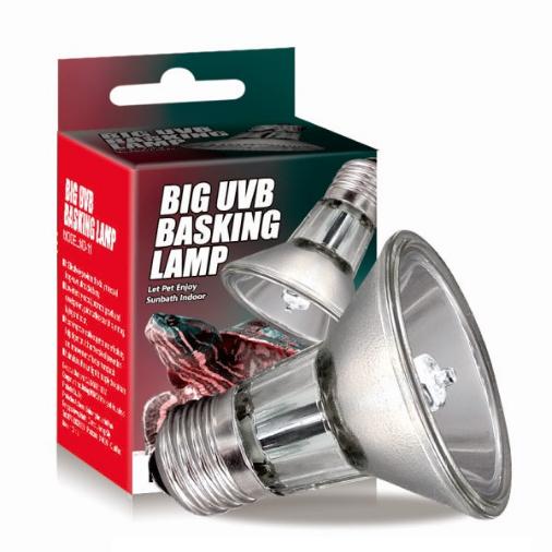 Reptile UVB Lamp (Compact)