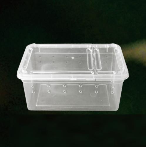 Small Reptile Breeding Box