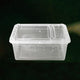 Small Reptile Breeding Box