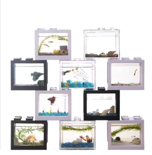 Turtle Tank